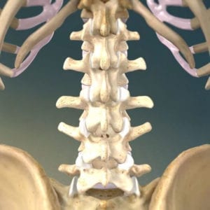 chronic lower back pain