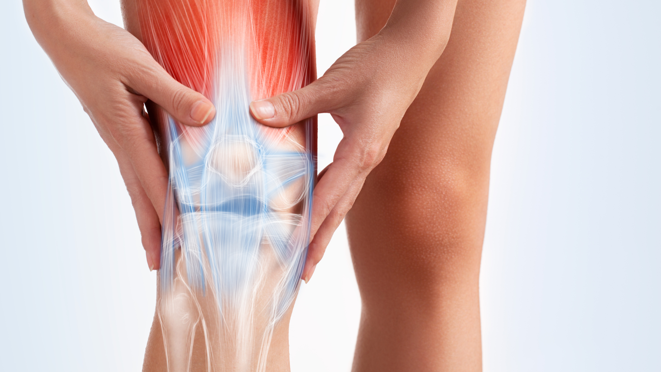 Knee store muscle pain