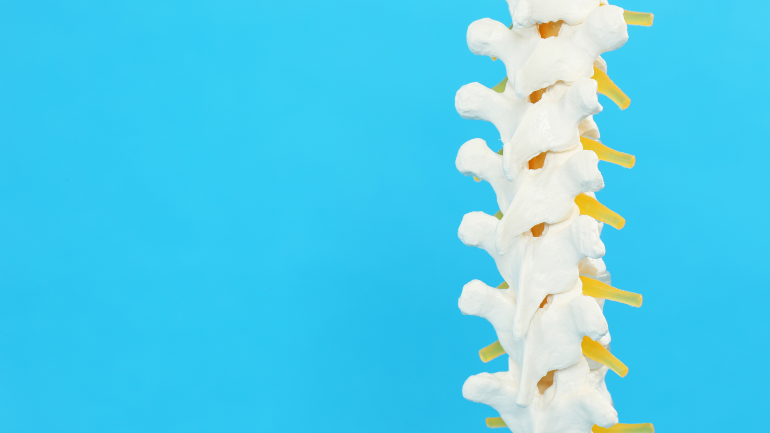 What is the Facet Joint Injection Procedure? Pontchartrain