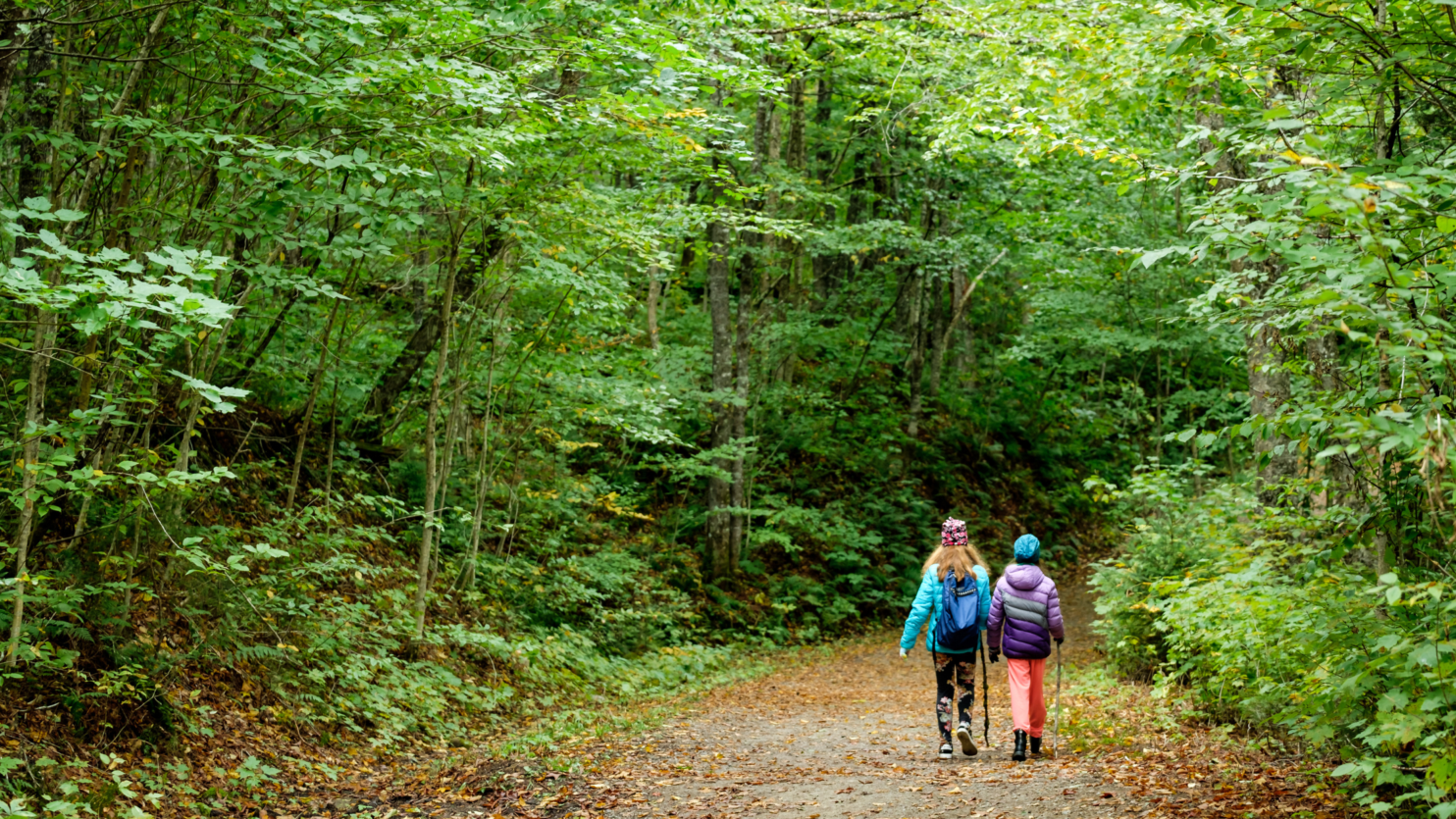 fall hiking essentials for injury prevention